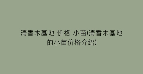 清香木基地 价格 小苗(清香木基地的小苗价格介绍)